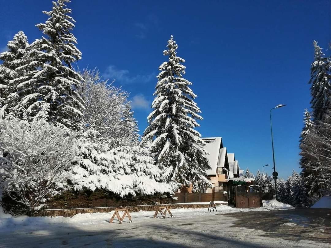 Pensiunea Colina Poiana Brașov Exterior foto