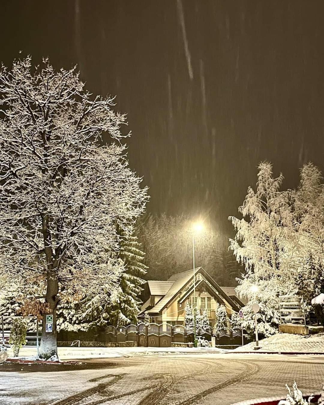 Pensiunea Colina Poiana Brașov Exterior foto