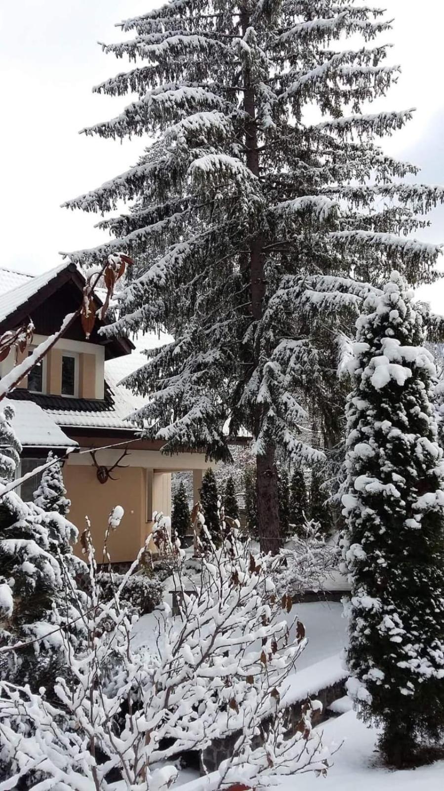 Pensiunea Colina Poiana Brașov Exterior foto