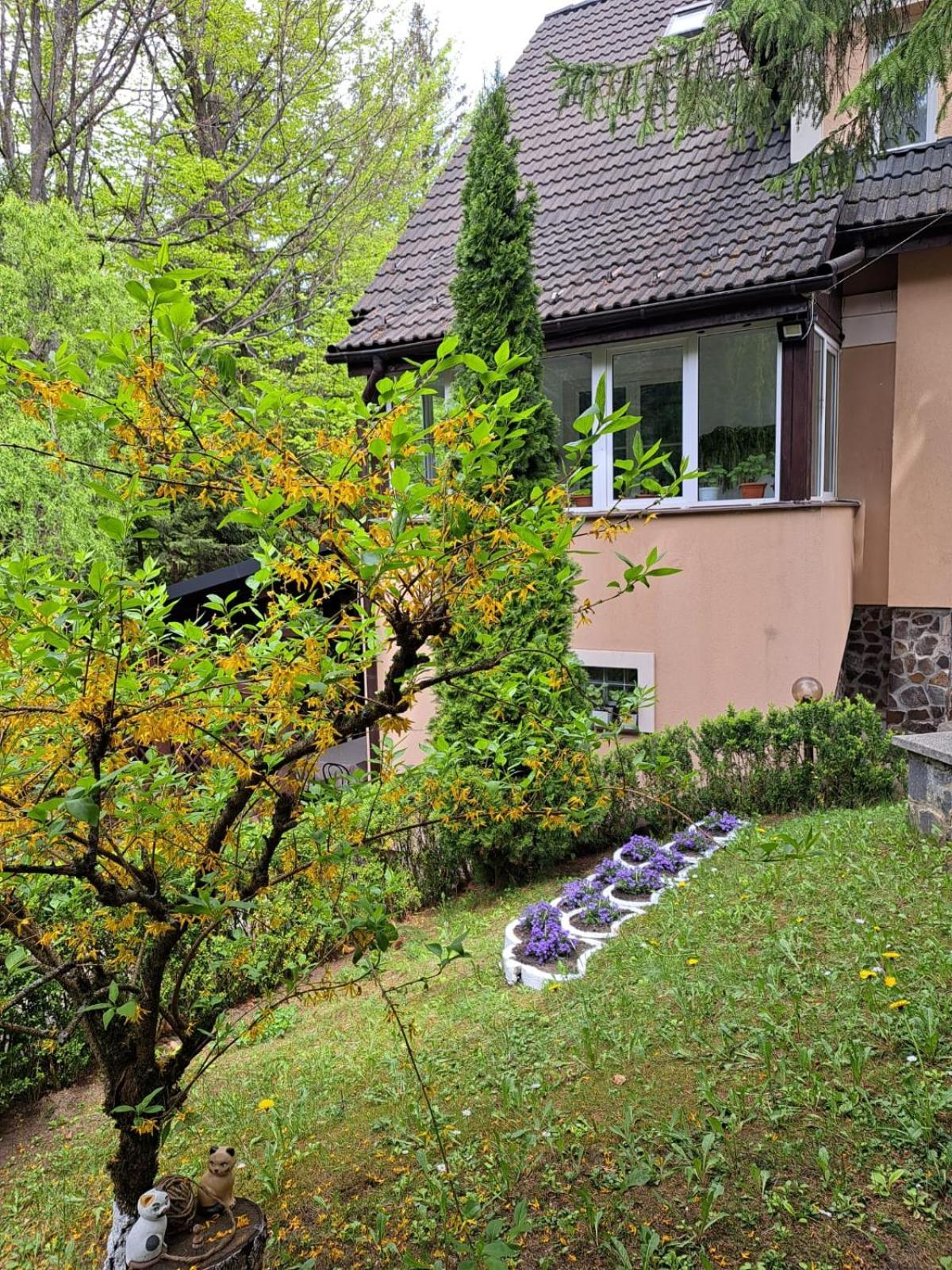 Pensiunea Colina Poiana Brașov Exterior foto
