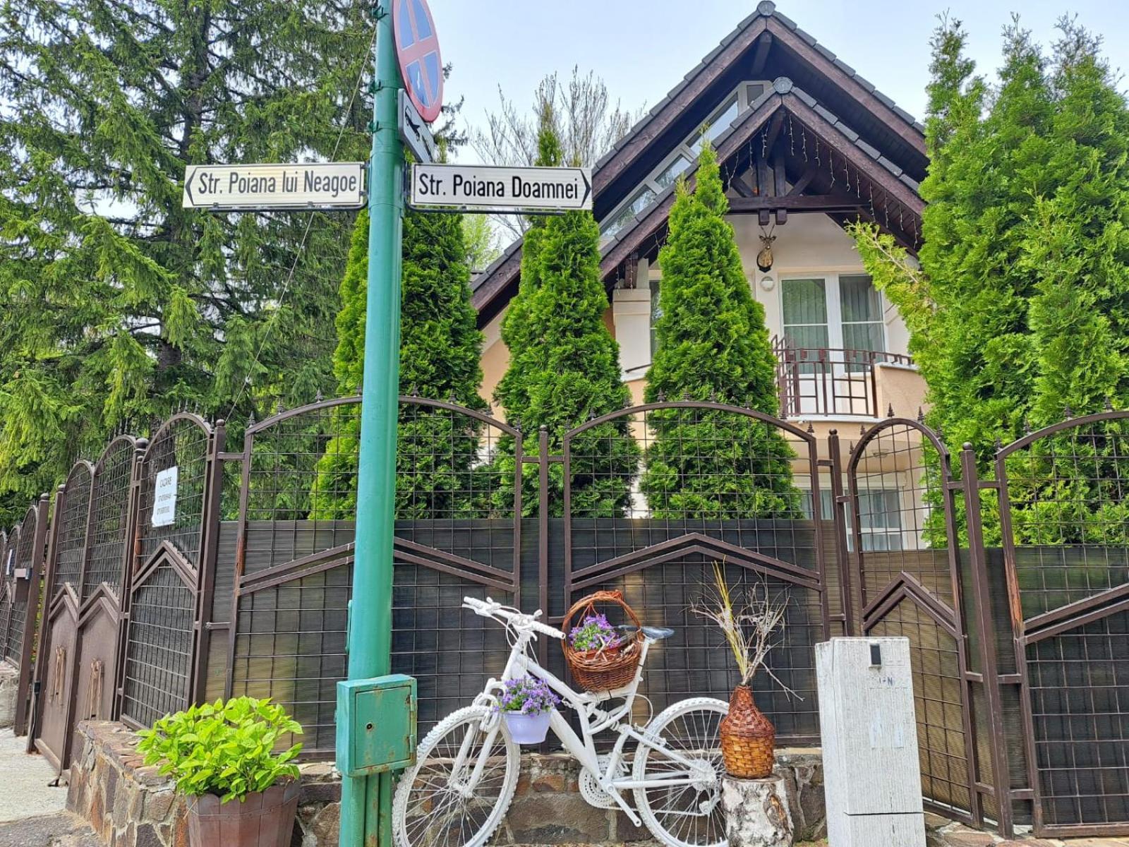 Pensiunea Colina Poiana Brașov Exterior foto