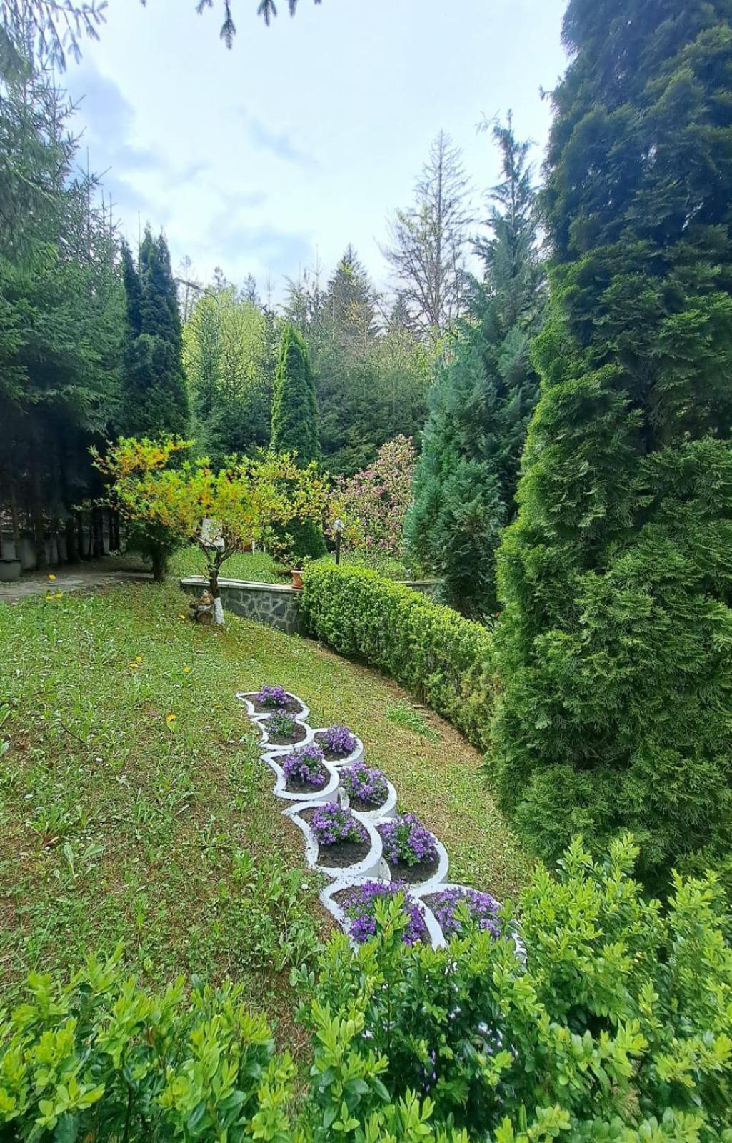 Pensiunea Colina Poiana Brașov Exterior foto