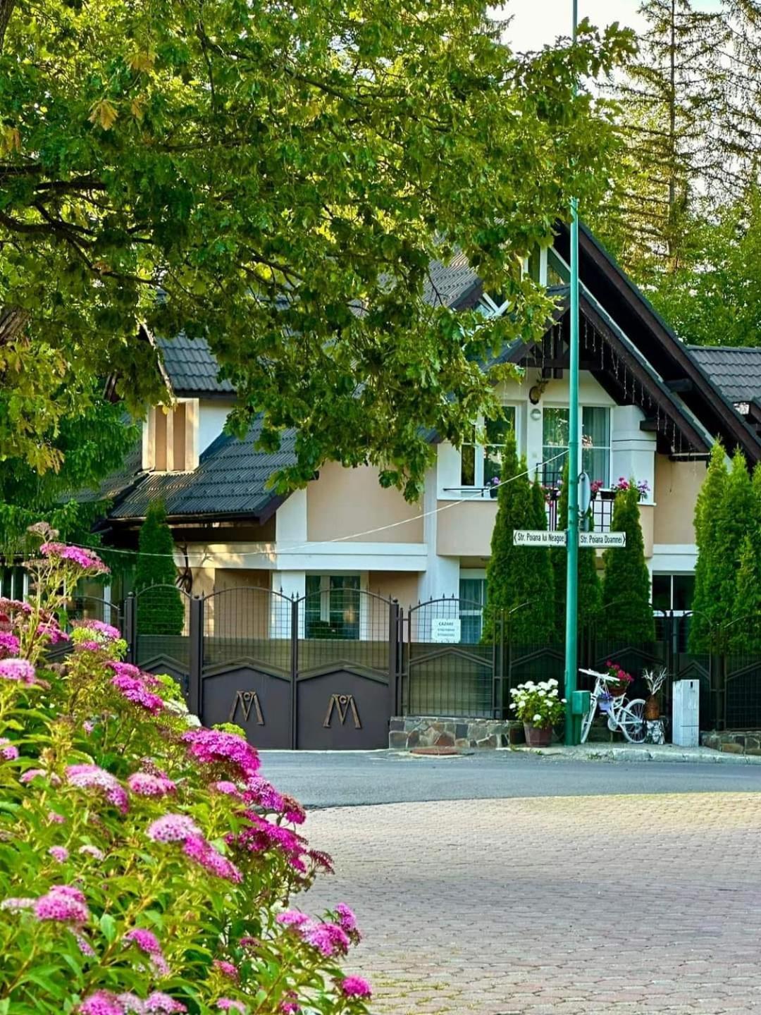 Pensiunea Colina Poiana Brașov Exterior foto