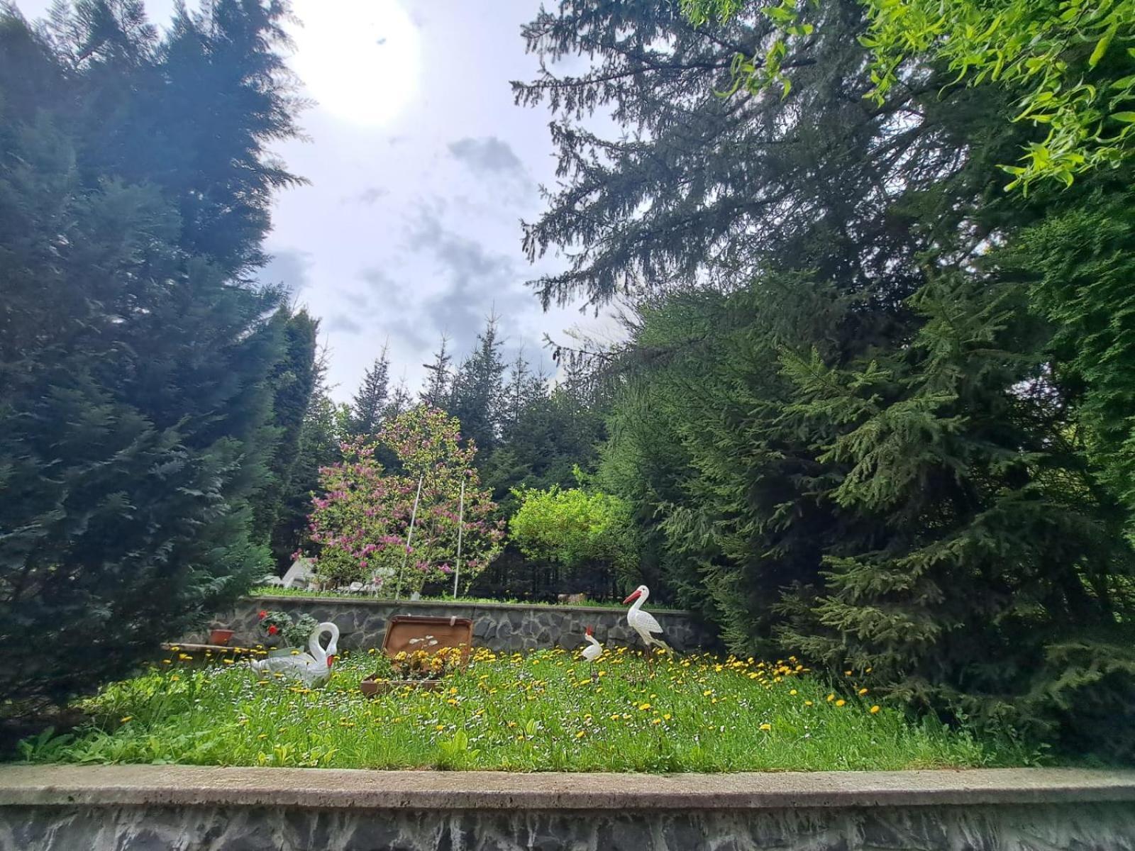 Pensiunea Colina Poiana Brașov Exterior foto