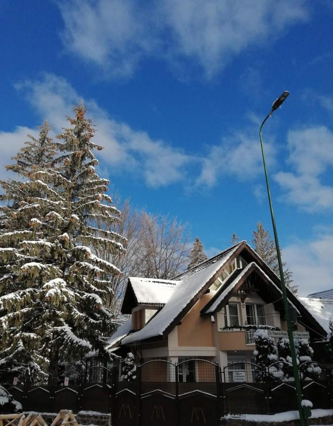 Pensiunea Colina Poiana Brașov Exterior foto