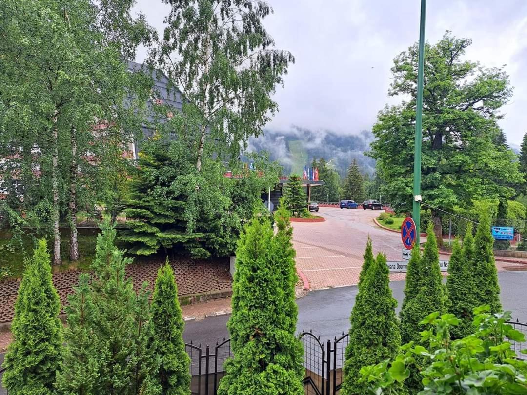 Pensiunea Colina Poiana Brașov Exterior foto