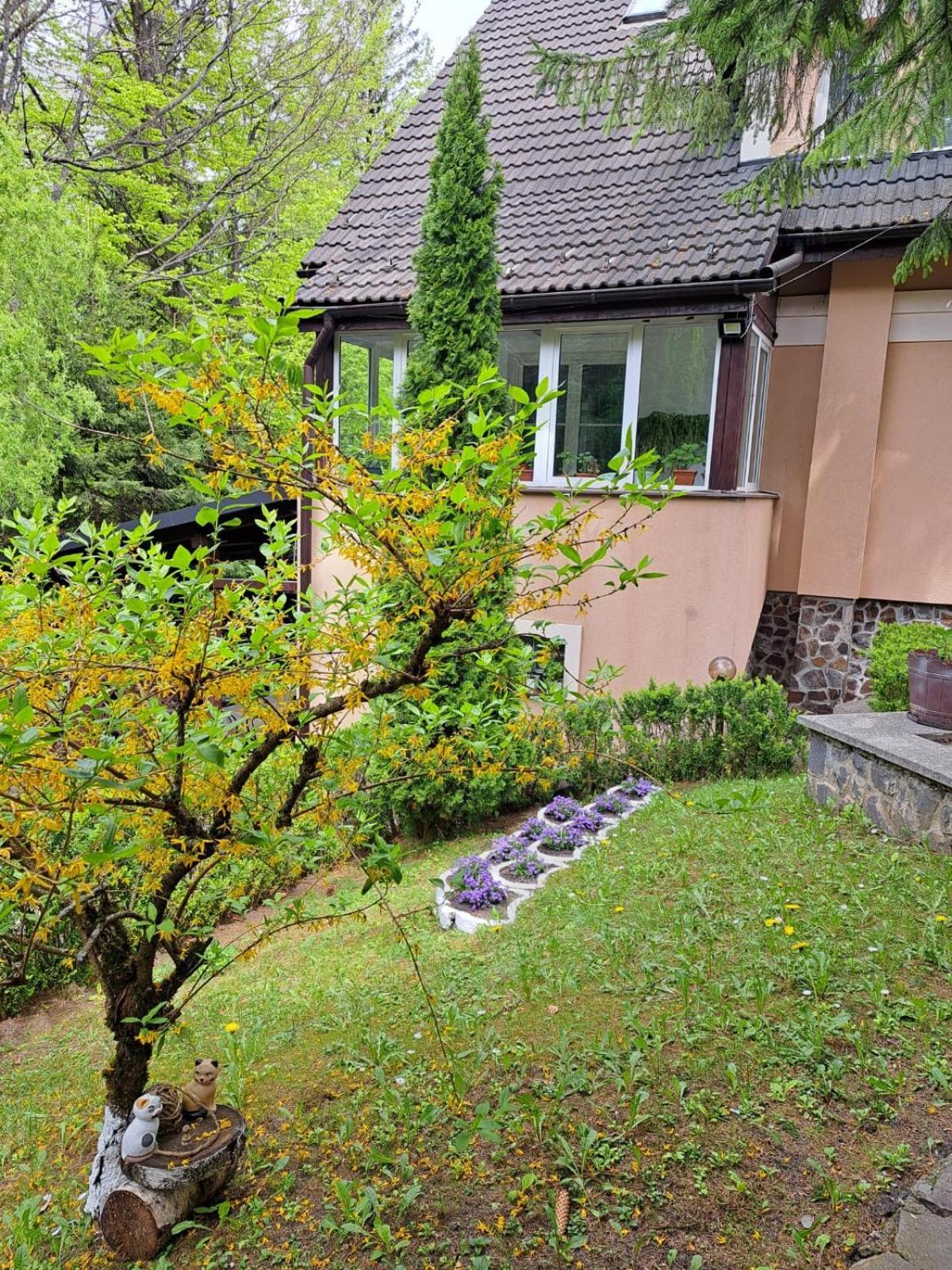 Pensiunea Colina Poiana Brașov Exterior foto