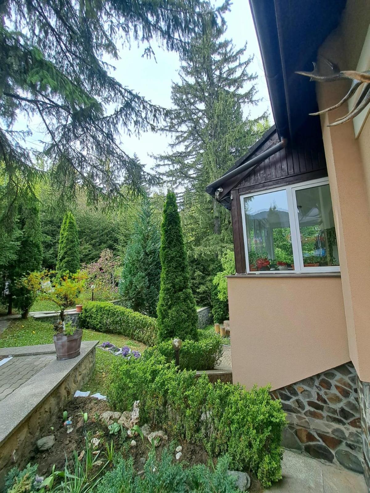 Pensiunea Colina Poiana Brașov Exterior foto