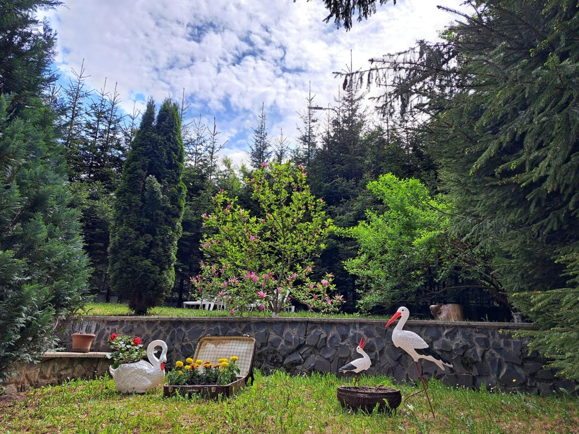 Pensiunea Colina Poiana Brașov Exterior foto