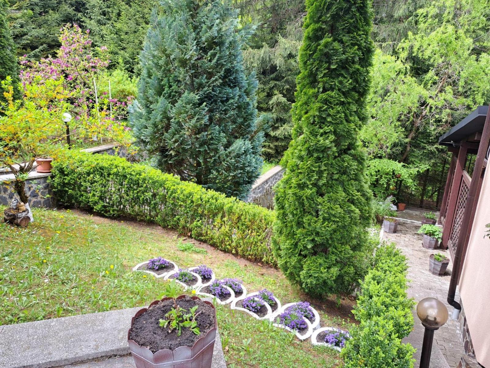 Pensiunea Colina Poiana Brașov Exterior foto