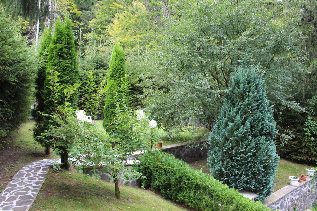 Pensiunea Colina Poiana Brașov Exterior foto